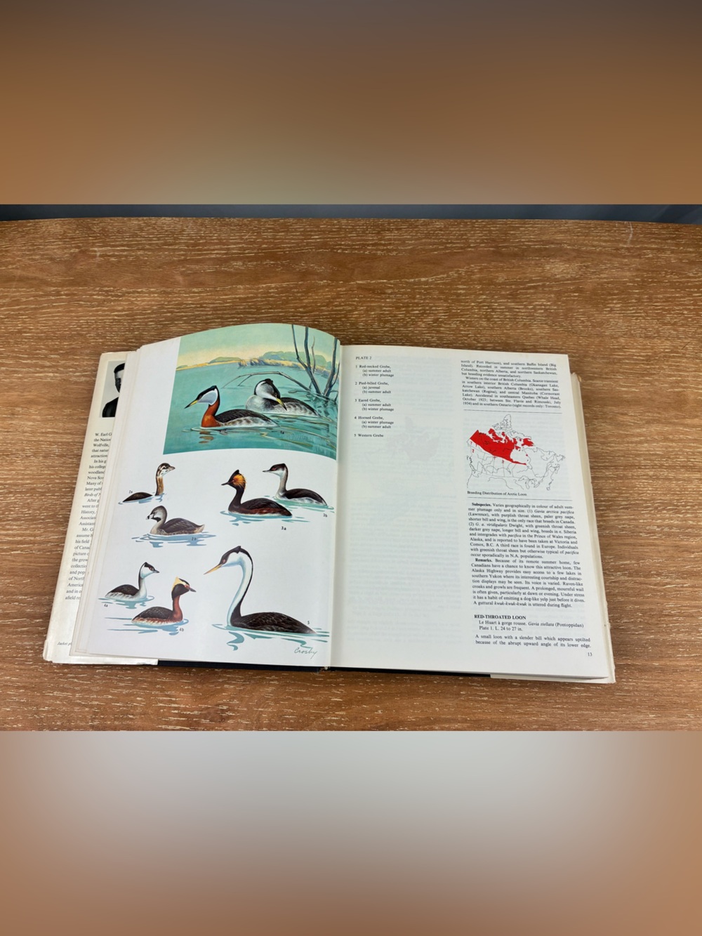 The Birds of Canada by W. Earl Godfrey – Vintage 1966 Hardcover - Picture 10 of 13
